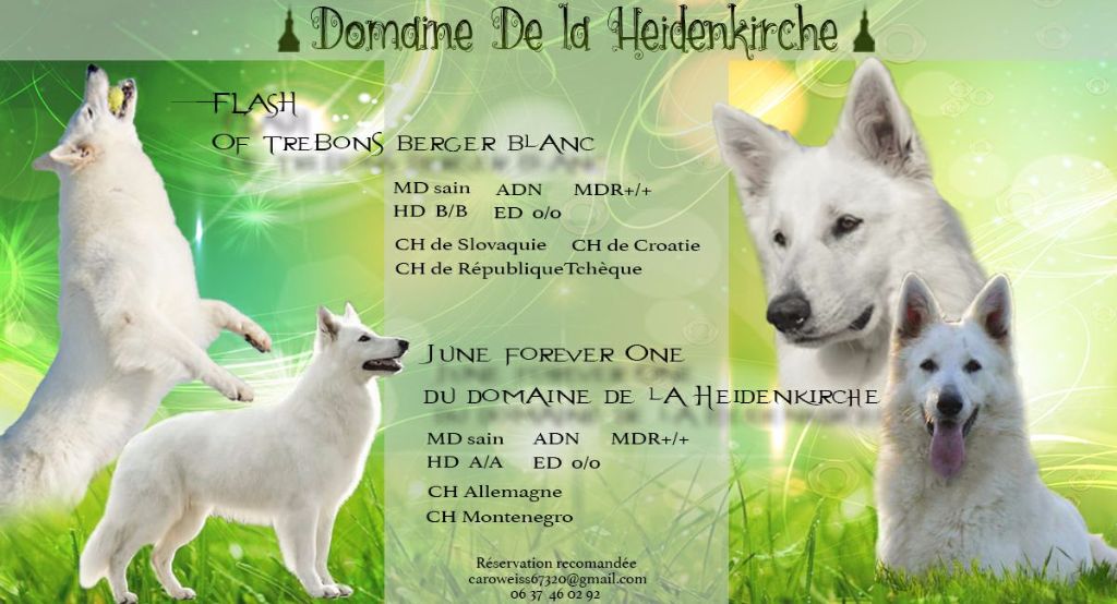 Du Domaine De La Heidenkirche - Mariage Eté 2017