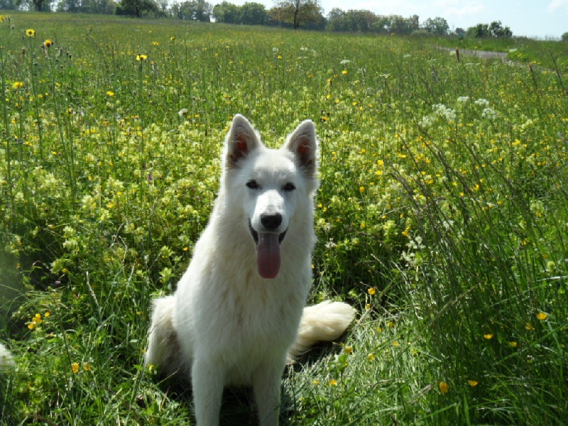 Hayleen Du Domaine De La Heidenkirche